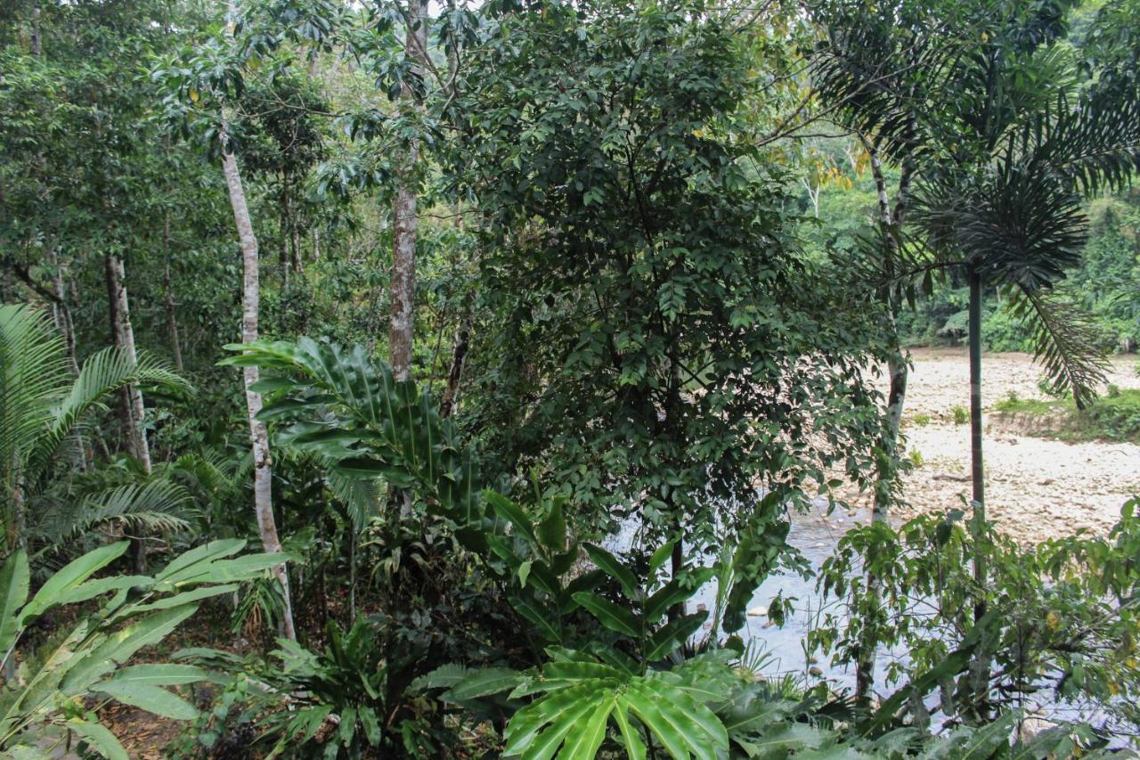 Chirapa Manta Amazon Lodge Ламас Экстерьер фото
