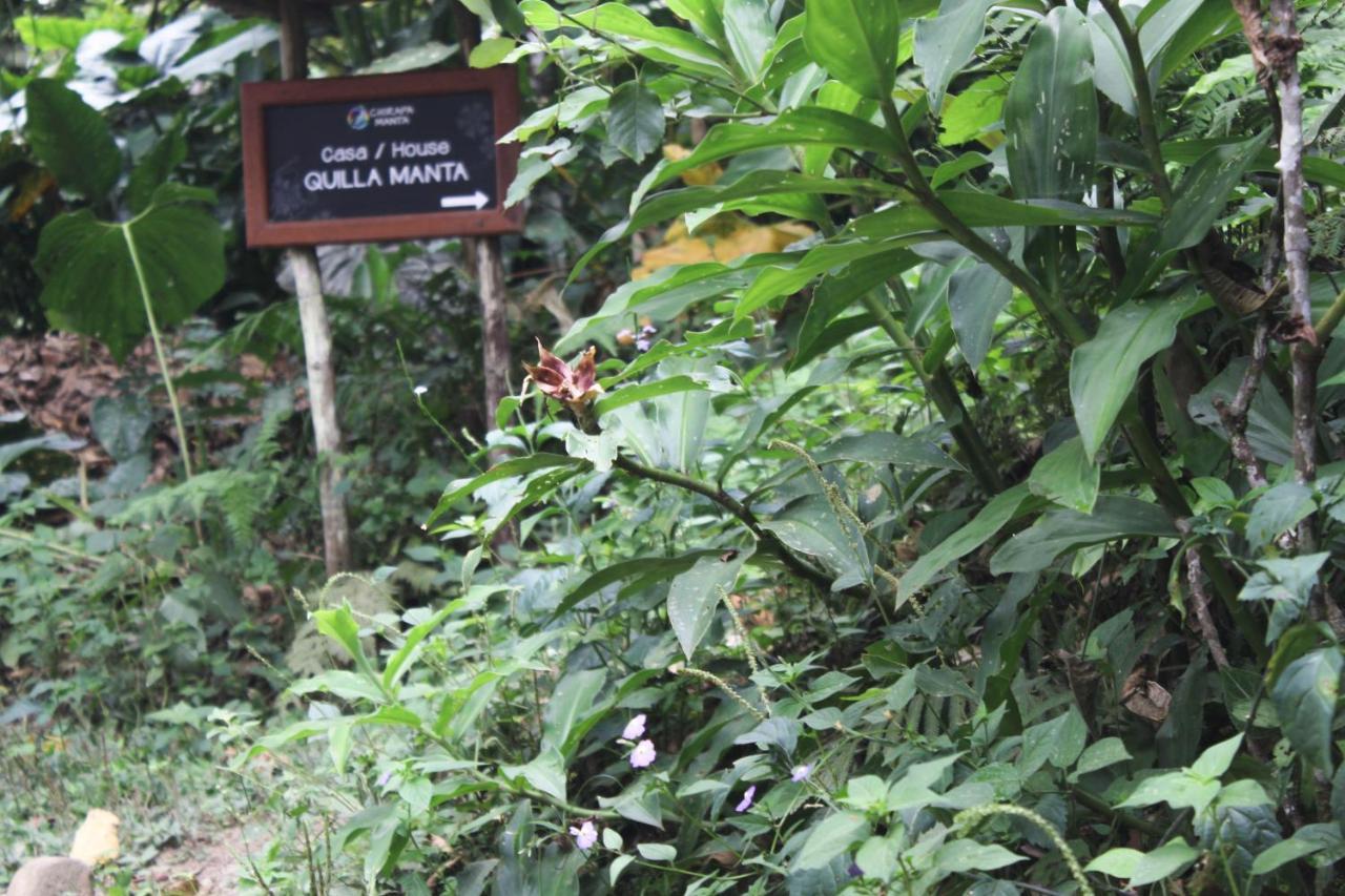 Chirapa Manta Amazon Lodge Ламас Экстерьер фото